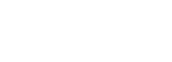 vsc_respaldan_2